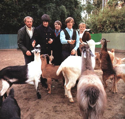 Pet Sounds photo session